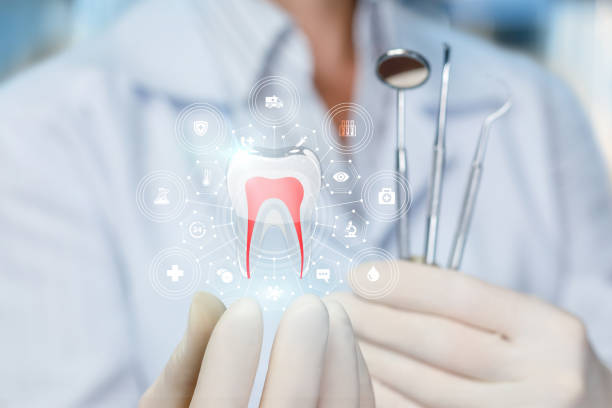 Best Preventive Dentistry  in Oriole Beach, FL